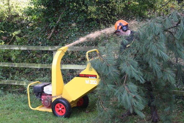 Chartley Tree Services, Cheshire tree surgeons